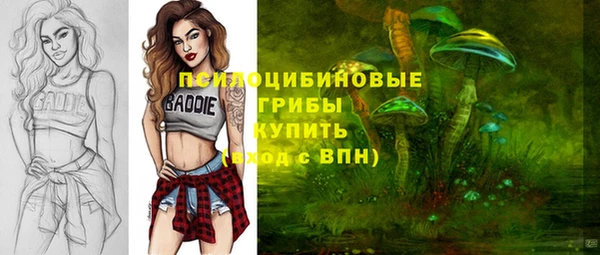 стафф Арсеньев