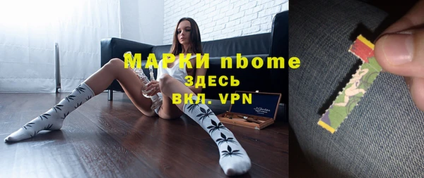 стафф Арсеньев