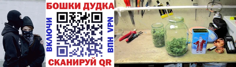 Бошки марихуана семена  Купить закладки  Карачев 